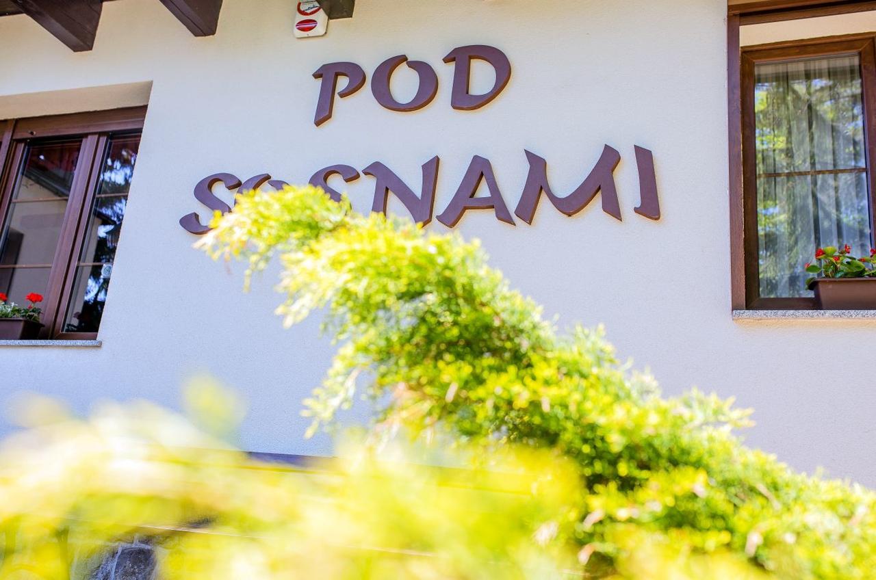 Pokoje Goscinne Pod Sosnami 卡尔帕奇 外观 照片